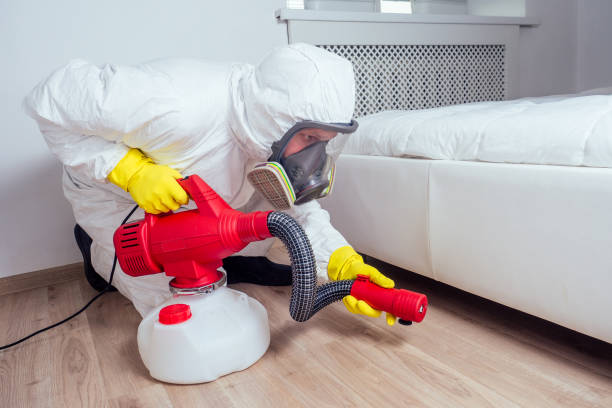 Professional Pest Control in Robstown, TX